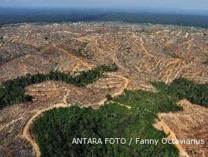 Norwegia minta Indonesia selesaikan Perpres moratorium hutan
