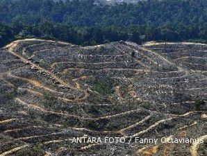Pelaksanaan moratorium hutan tersandera peraturan presiden