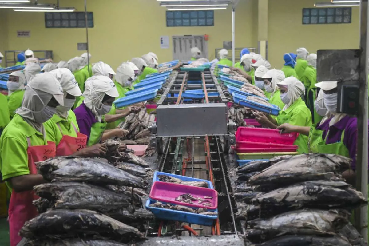 Jokowi minta industri perikanan nasional terus dikembangkan