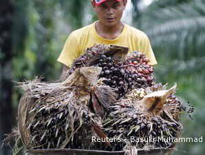 HET Pupuk Naik, Petani Sawit Terancam Kekurangan Pembiayaan