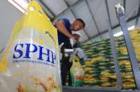 Bansos Beras Distop, Pemerinah Alokasikan Rp 16,6 Triliun untuk Serap Gabah Petani