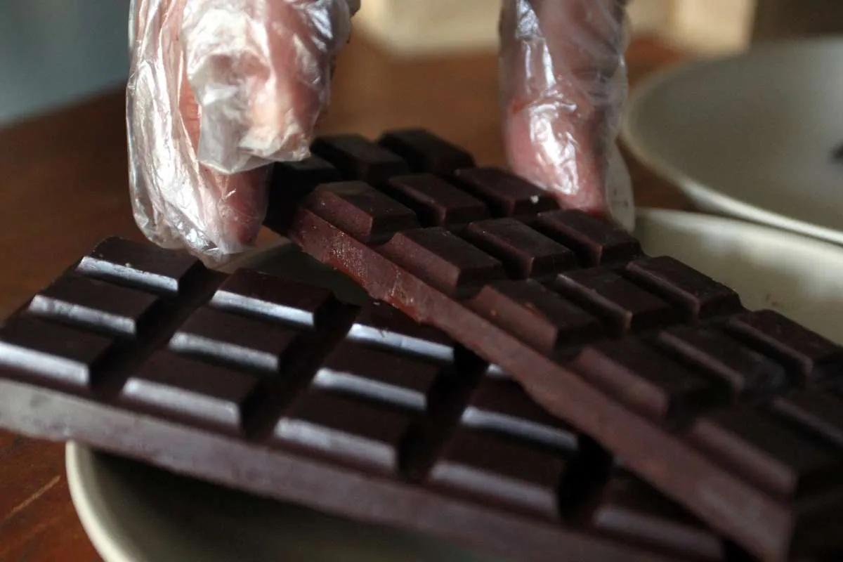 Harga Cocoa Butter Mahal, Industri Makanan Kini Andalkan Turunan Sawit