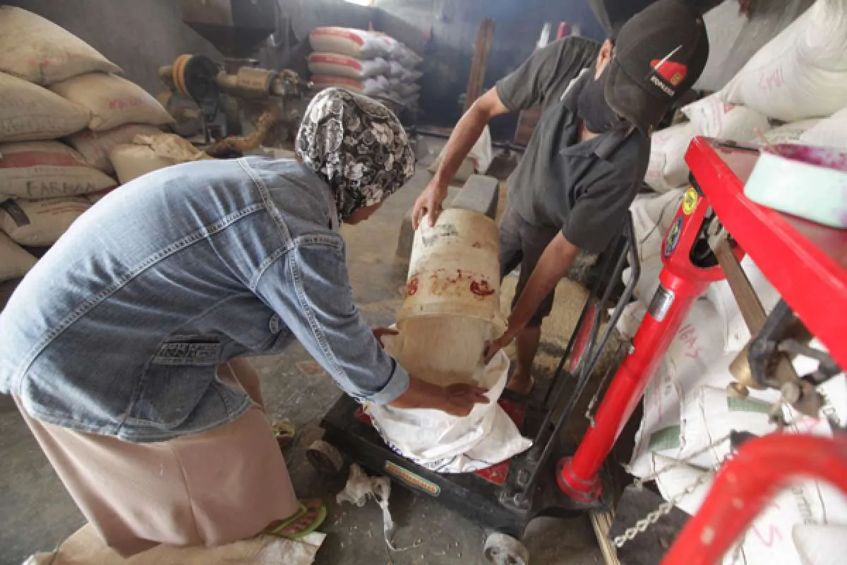 Kementan Berikan Data Stok Beras di 24 Provinsi, Ini yang Dilakukan Bulog