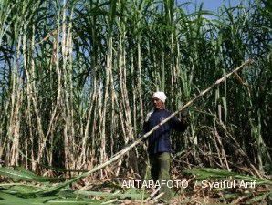 Pembukaan lahan tebu 500.000 hektare terganjal rencana tata ruang