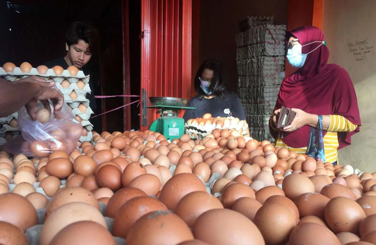 2 Makanan tinggi kolesterol ini aman Anda konsumsi, lo
