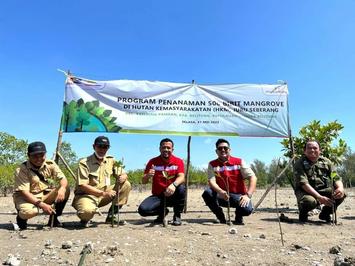 PT Elnusa Petrofin Kembangkan Area Pembenihan & Aksi Tanam 500 Mangrove di Belitung