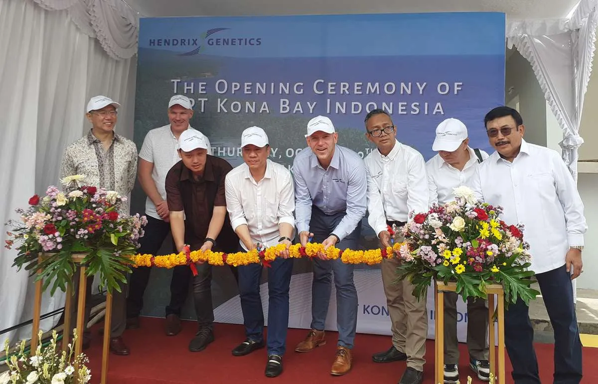 Kona Bay Indonesia (KBI) Resmikan Pusat Pembesaran Udang Vaname di Bali