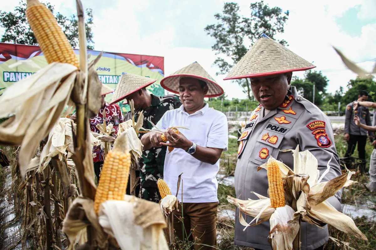 Polri Targetkan Penanaman Jagung di 1,75 Juta Hektare Lahan pada Semester II-2025