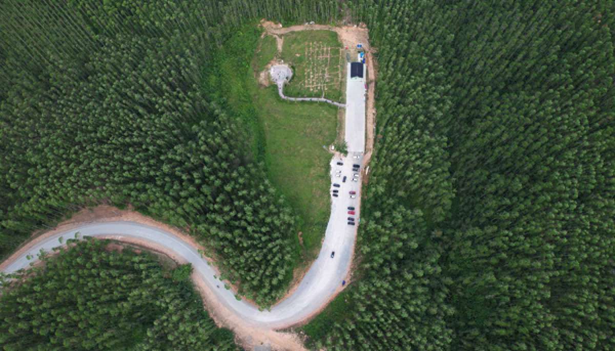 Segepok Pemanis Agar Investor Mau Berbisnis di IKN