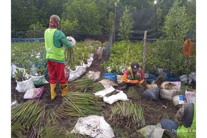 Kontan - Bukit Asam Kilas Online