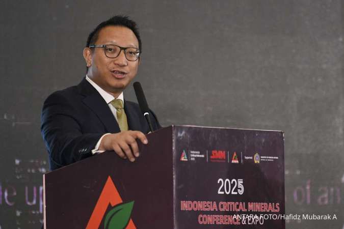 Pabrik Solder Timah Milik Hashim Djojohadikusumo Bakal Diresmikan Juli 2025