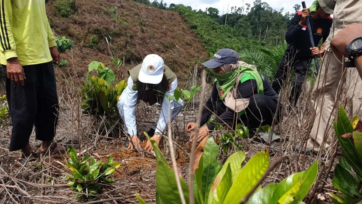 PTPN V Kolaborasi Lakukan Reboisasi Hutan Lindung Bukit Suligi