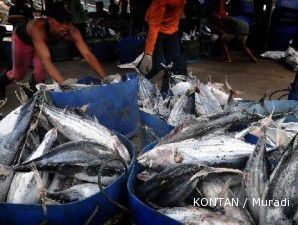 Pengolahan ikan pindang kekurangan bahan baku ikan