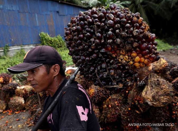 Prospek Sawit 2026: Harga di Level Tinggi, Permintaan Naik, Regulasi Kompleks