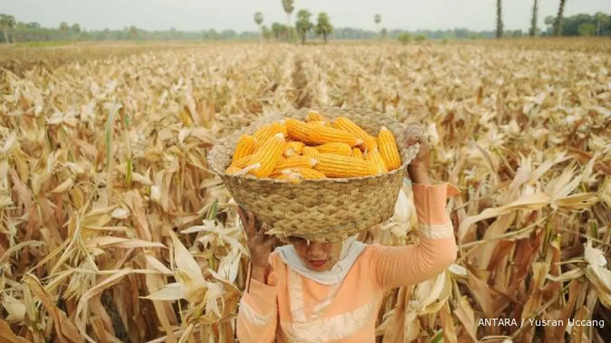 Bersiaplah, harga bahan pangan bakal melejit