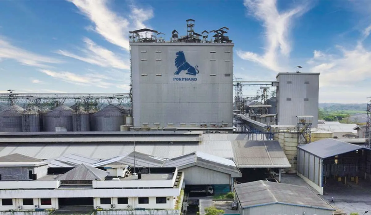 Harga Livebird Bisa Jadi Katalis, Cermati Prospek dan Rekomendasi Saham CPIN