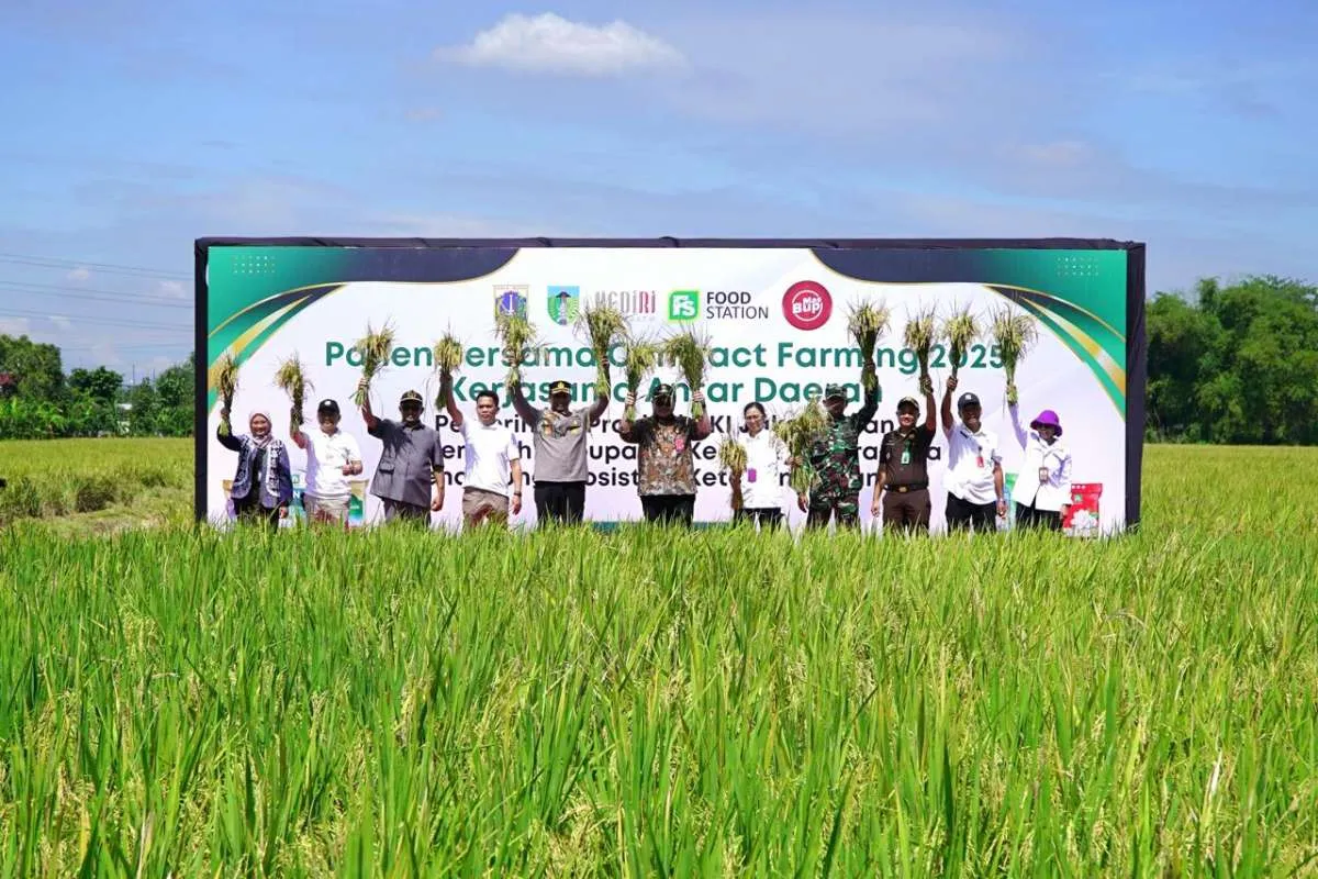 Food Station Lakukan Panen Bersama di Kediri untuk Jaga Pasokan Beras DKI Jakarta
