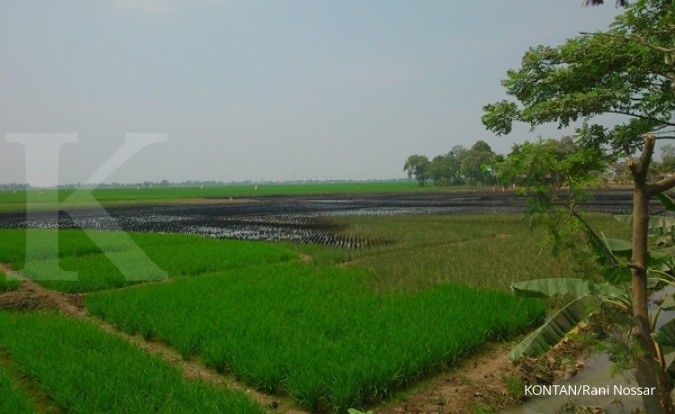 Menteri Desa prioritaskan pembangunan akses desa