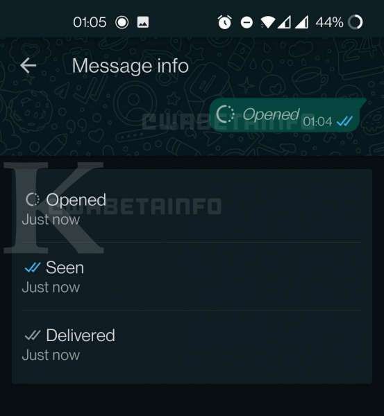 Fitur view once WhatsApp Beta