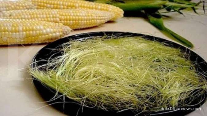 Rambut jagung bermanfaat sebagai obat herbal untuk kolesterol 
