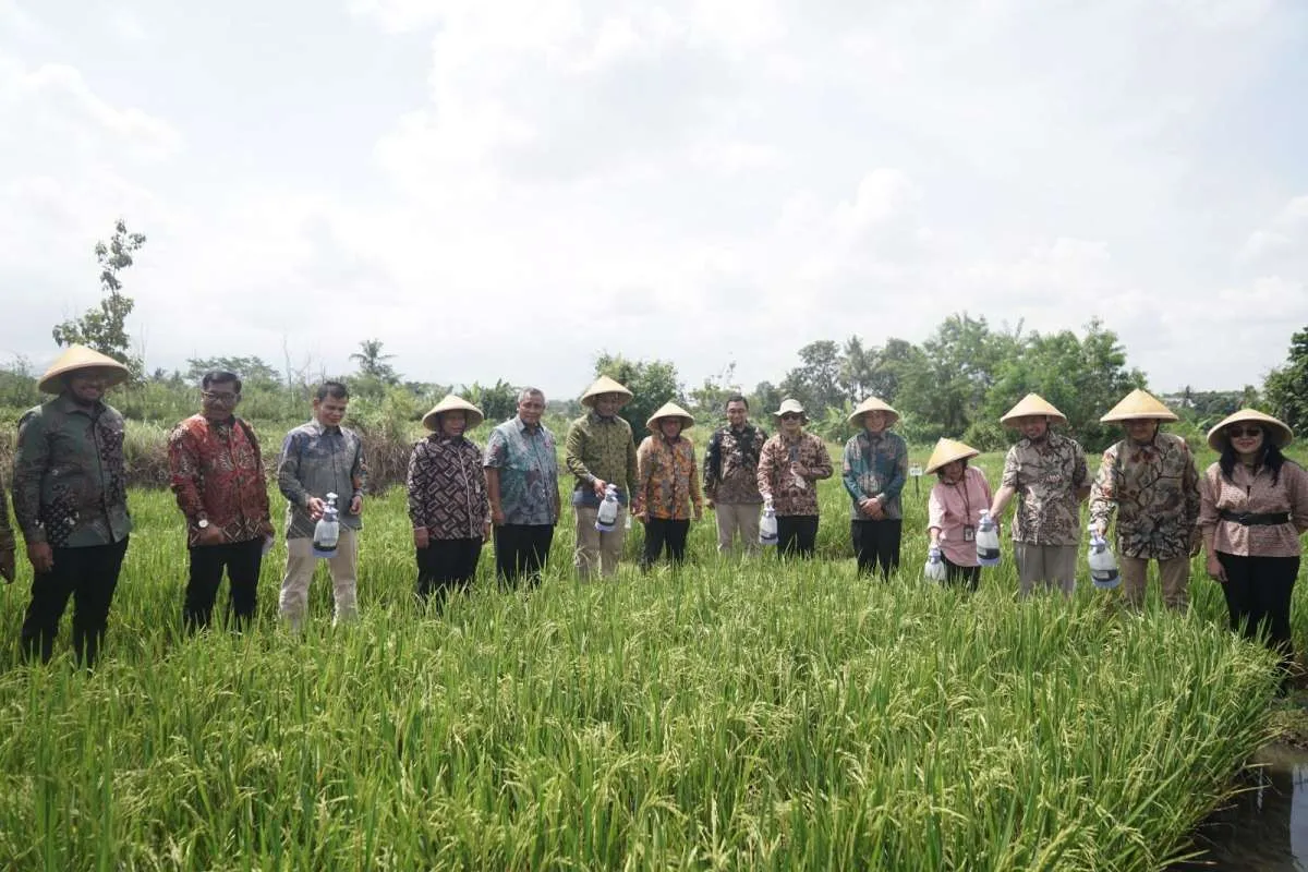 Inovasi PTBA Dukung Swasembada Pangan, Ubah “Si Hitam” Jadi “Hijau”