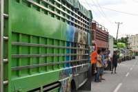 Surplus Solar, Produksi Avtur Digenjot