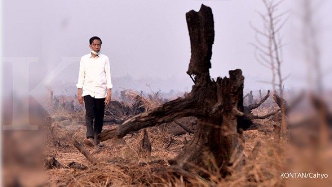 Kebakaran hutan, Jokowi minta masyarakat sabar