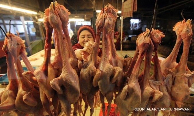Kemtan tegaskan tidak akan mengimpor daging ayam dari Brasil