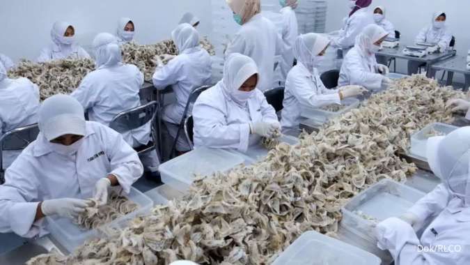 Abadi Lestari (RLCO) Beberkan Alasan Bentuk Cucu Usaha Marinova Protein