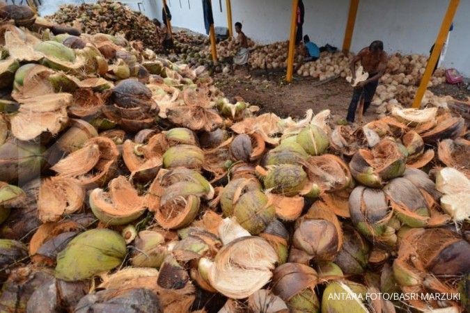 Produksi kelapa masih kurang dari 15 miliar