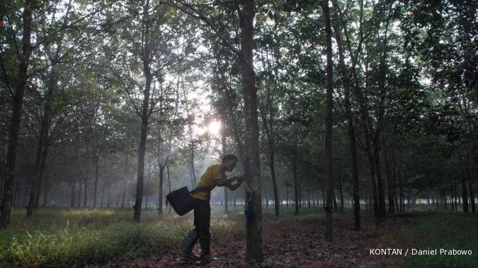 Sampoerna Agro caplok lahan Basuki Rachmat