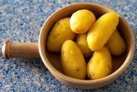 Viral Menu MBG di Depok Isi Pangsit-Kentang Rebus, BGN Minta Evaluasi Menu