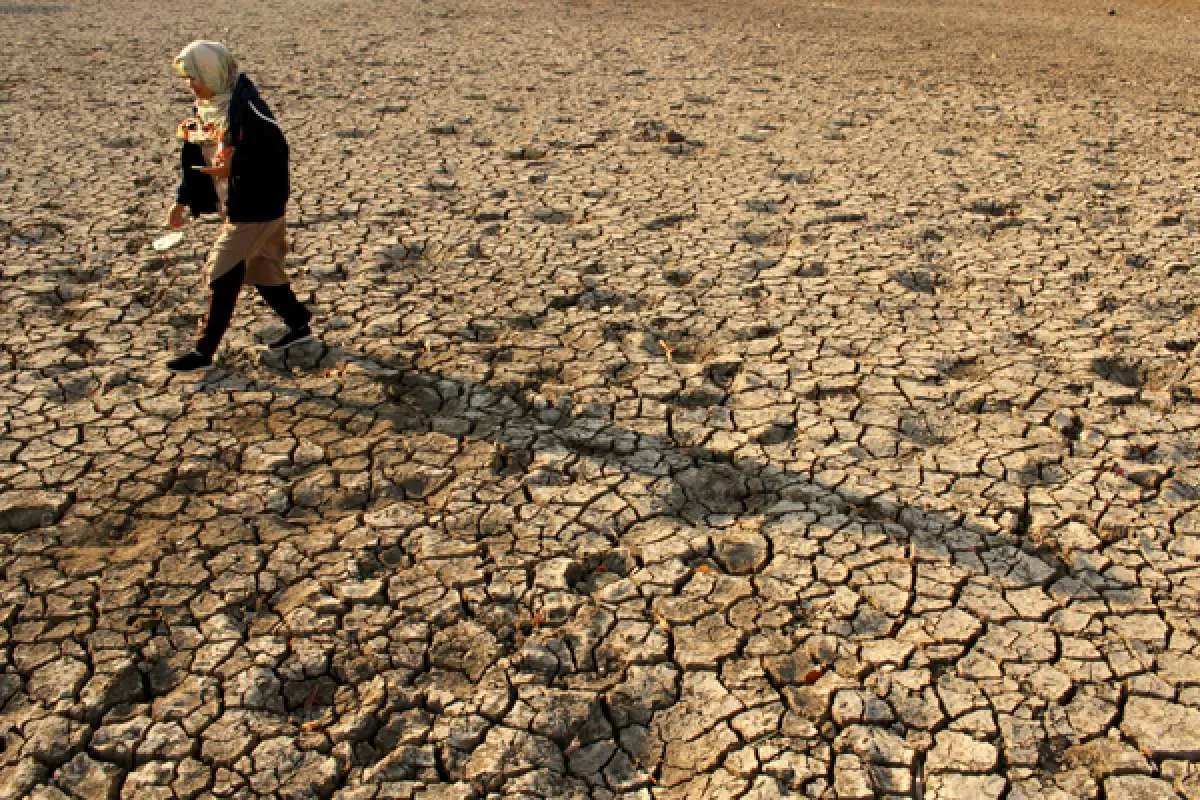 Kekeringan semakin meluas, Pemerintah Gorontalo tetapkan status darurat