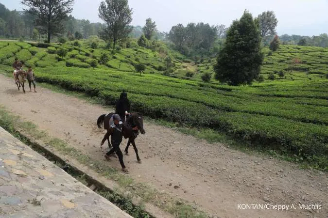 Hujan Ringan Berpotensi Terjadi di Jawa Barat, Cek Prakiraan Cuaca Besok dan Lusa