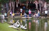 TMII Ubah Wajah Nataru: Dari Pesta Meriah ke Perayaan Penuh Arti