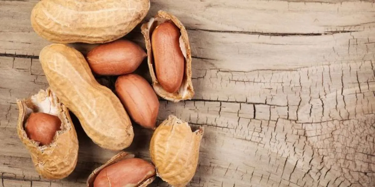 Ini 5 Dampak Konsumsi Kacang Berlebihan bagi Kesehatan yang Perlu Diwaspadai