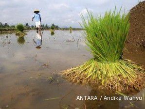 RUU Pengadaan lahan mengharuskan pencetakan lahan baru