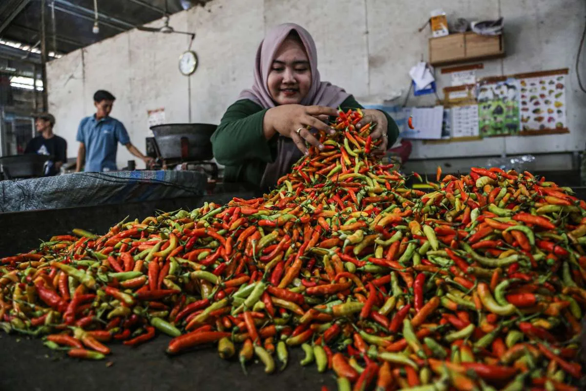 Harga Pangan hingga Belanja Fiskal Bikin Risiko Inflasi Makin Presisten