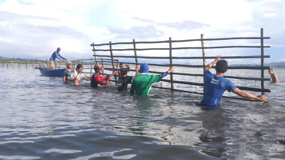 Rehabilitasi mangrove ikut mendongkrak penghasilan nelayan