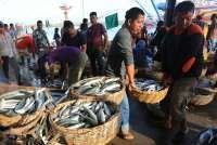 Dorong Pengembangan UMKM Perikanan Lewat Penguatan Akses Pembiayaan