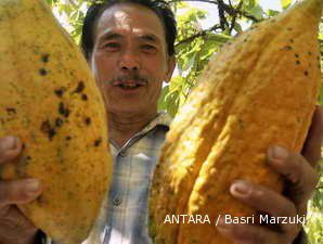 Kembangkan Kakao, Sarinah Kantongi Pinjaman dari Bank Mandiri dan Exim 