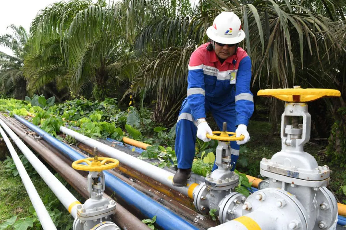 Mandirikan Difabel, Rumah Kreatif Tamiang Pertamina EP Rantau Field Dapat Penghargaan