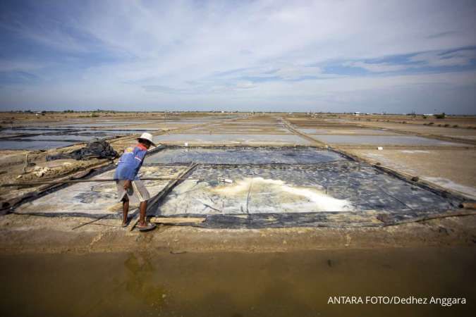 Perlu Serius Swasembada Garam Industri