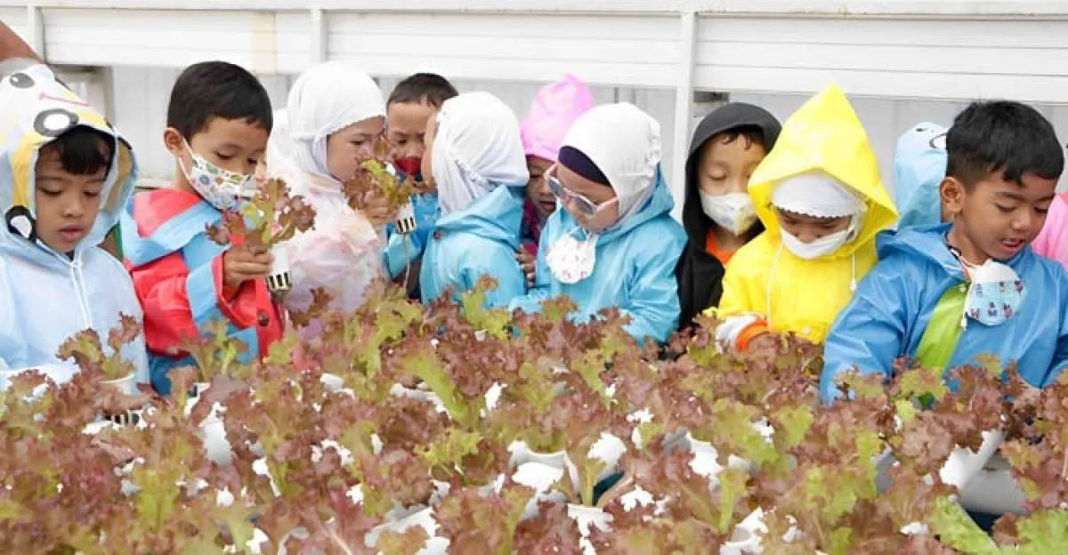 Tahapan Perkembangan Sensorik dan Motorik Anak di Usia 0-2 Tahun