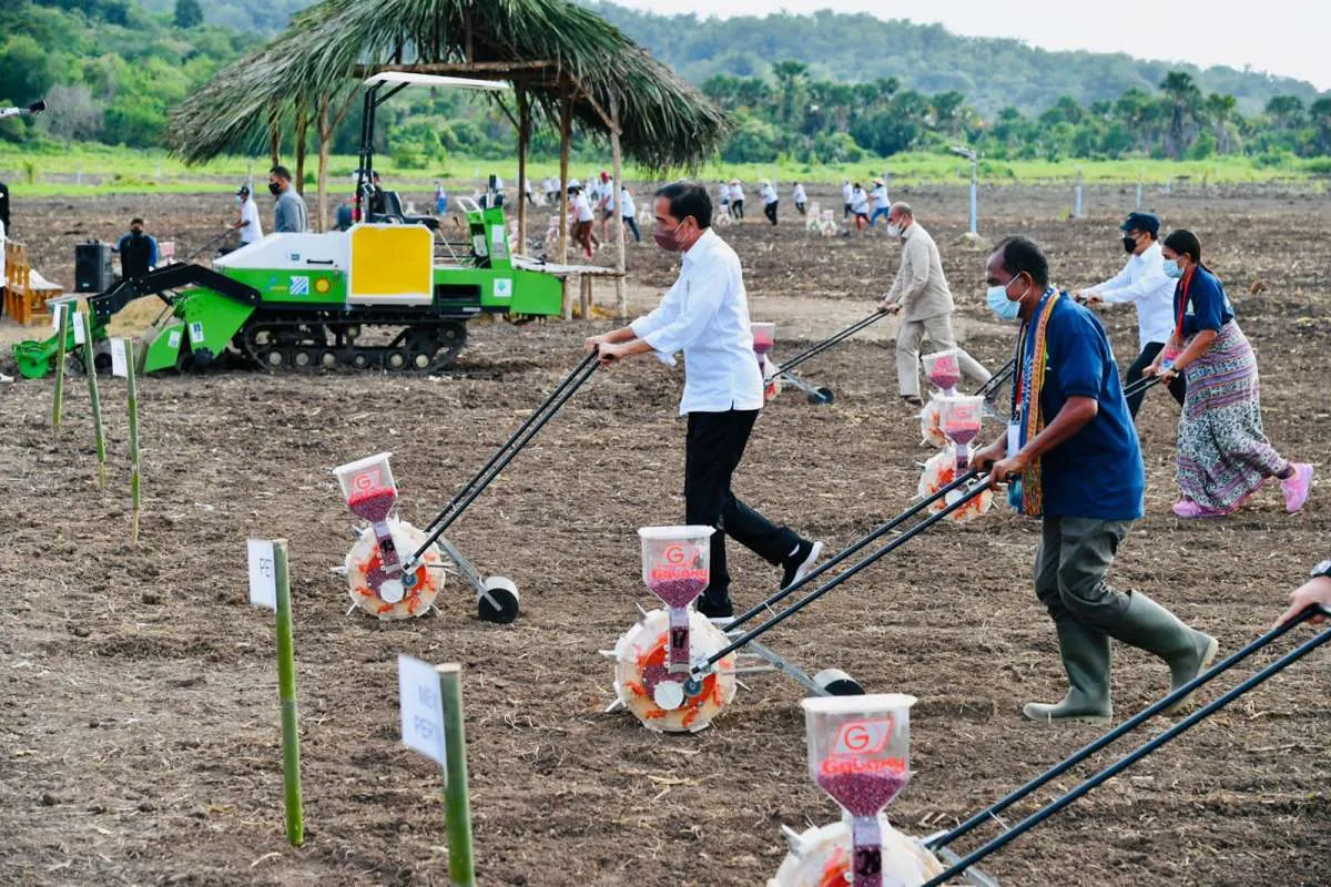 Pemerintah Dorong Pemanfaatan Alsintan untuk Tingkatkan Pertanian di NTT