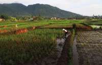 Jadwal Imsak Garut Hari Ini Sabtu (28/2): Tips Sahur Sehat untuk Puasa Lancar