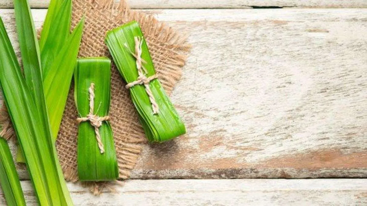 4 Manfaat daun pandan untuk kesehatan tubuh