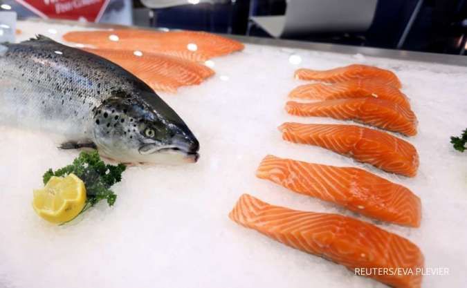 Ini 5 Jenis Ikan untuk Menurunkan Tekanan Darah Tinggi dengan Efektif