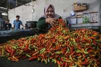 Harga Pangan hingga Belanja Fiskal Bikin Risiko Inflasi Makin Presisten