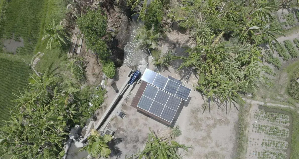 Pertamina Kembangkan Energi Transisi, Dorong Kesejahteraan 408 Petani